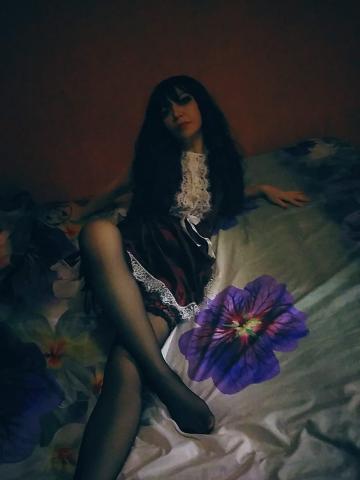 Аиста фото 6